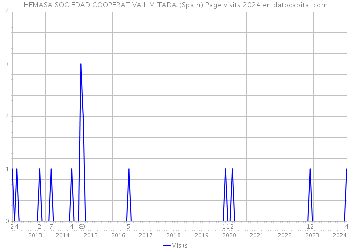 HEMASA SOCIEDAD COOPERATIVA LIMITADA (Spain) Page visits 2024 