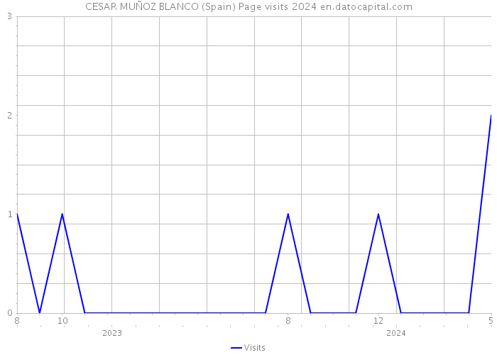 CESAR MUÑOZ BLANCO (Spain) Page visits 2024 