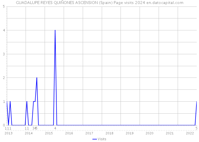 GUADALUPE REYES QUIÑONES ASCENSION (Spain) Page visits 2024 