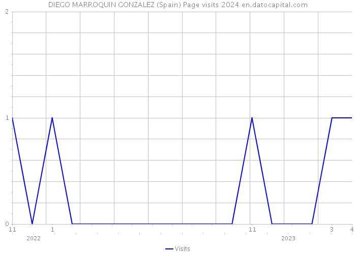 DIEGO MARROQUIN GONZALEZ (Spain) Page visits 2024 