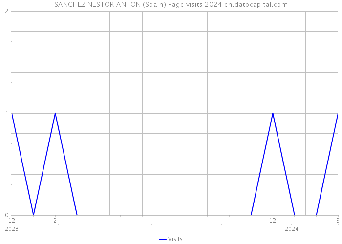 SANCHEZ NESTOR ANTON (Spain) Page visits 2024 