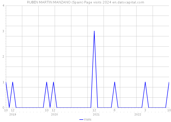 RUBEN MARTIN MANZANO (Spain) Page visits 2024 