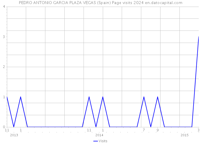 PEDRO ANTONIO GARCIA PLAZA VEGAS (Spain) Page visits 2024 