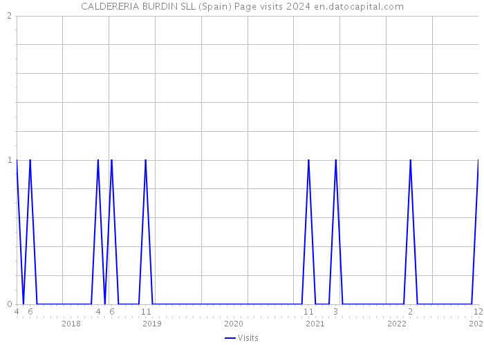 CALDERERIA BURDIN SLL (Spain) Page visits 2024 