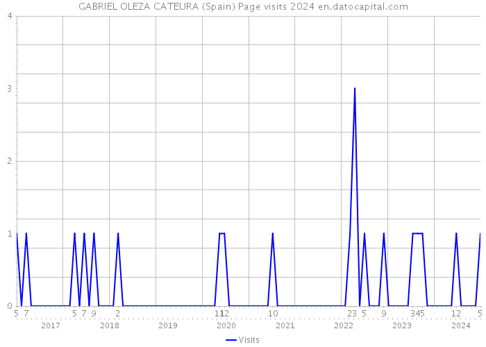 GABRIEL OLEZA CATEURA (Spain) Page visits 2024 