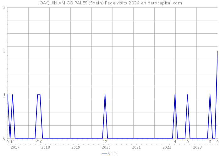JOAQUIN AMIGO PALES (Spain) Page visits 2024 