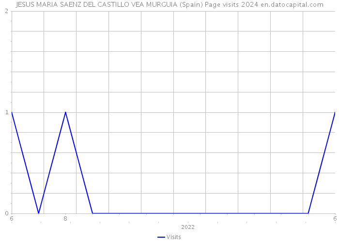 JESUS MARIA SAENZ DEL CASTILLO VEA MURGUIA (Spain) Page visits 2024 