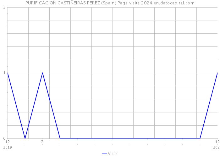 PURIFICACION CASTIÑEIRAS PEREZ (Spain) Page visits 2024 
