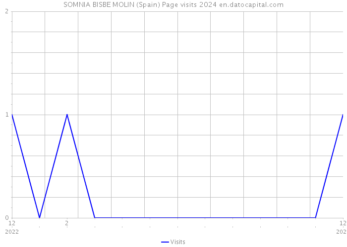 SOMNIA BISBE MOLIN (Spain) Page visits 2024 