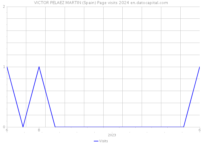 VICTOR PELAEZ MARTIN (Spain) Page visits 2024 