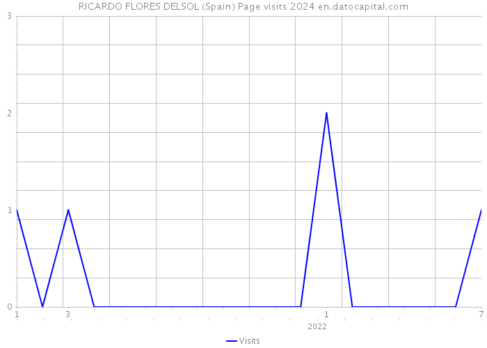 RICARDO FLORES DELSOL (Spain) Page visits 2024 