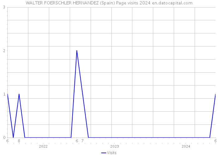 WALTER FOERSCHLER HERNANDEZ (Spain) Page visits 2024 