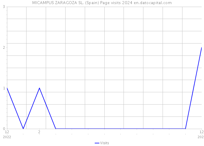 MICAMPUS ZARAGOZA SL. (Spain) Page visits 2024 