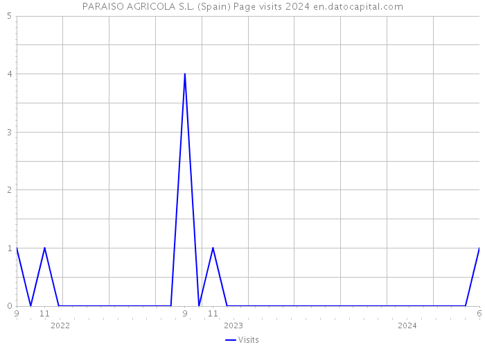 PARAISO AGRICOLA S.L. (Spain) Page visits 2024 