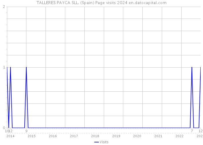 TALLERES PAYCA SLL. (Spain) Page visits 2024 