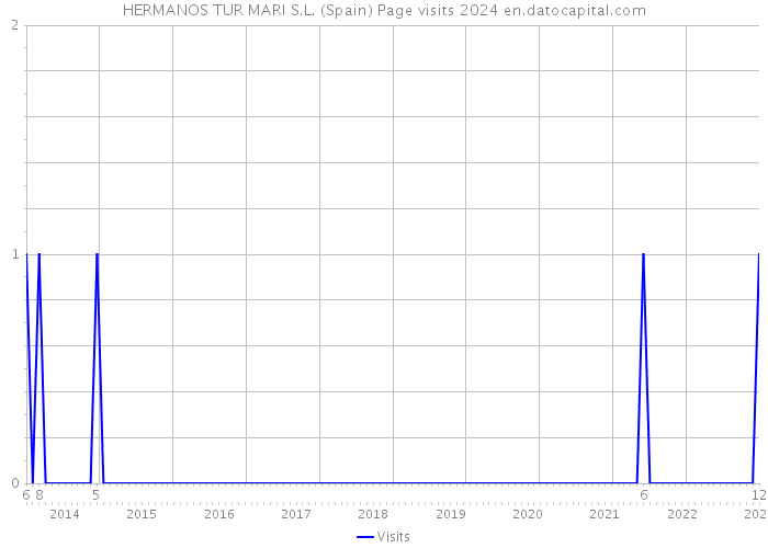 HERMANOS TUR MARI S.L. (Spain) Page visits 2024 