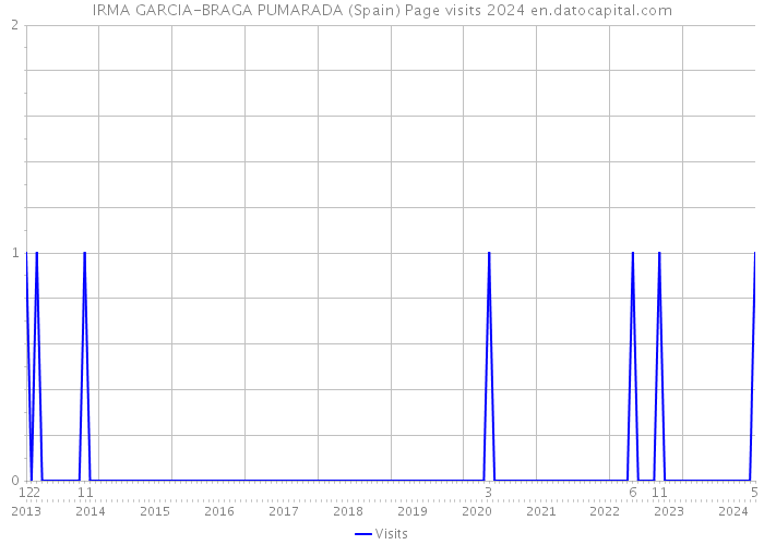 IRMA GARCIA-BRAGA PUMARADA (Spain) Page visits 2024 