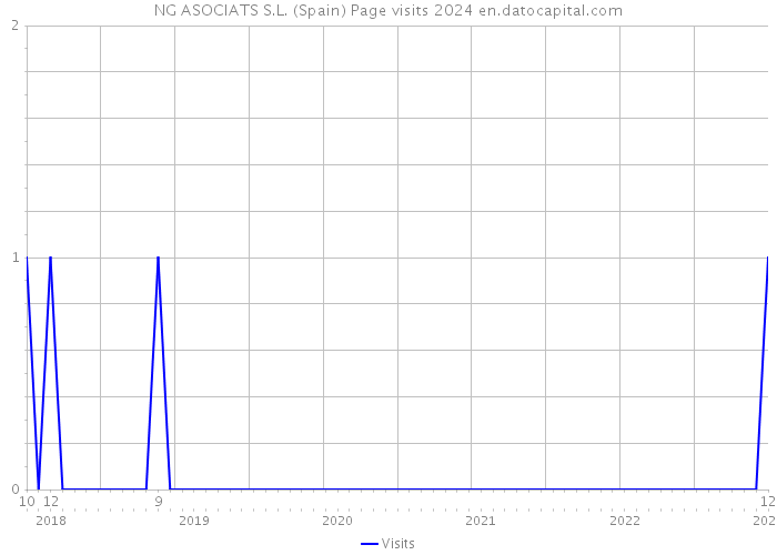 NG ASOCIATS S.L. (Spain) Page visits 2024 