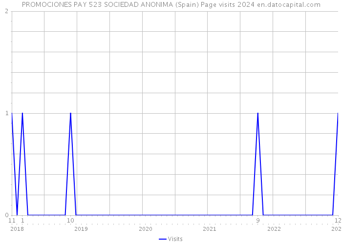 PROMOCIONES PAY 523 SOCIEDAD ANONIMA (Spain) Page visits 2024 