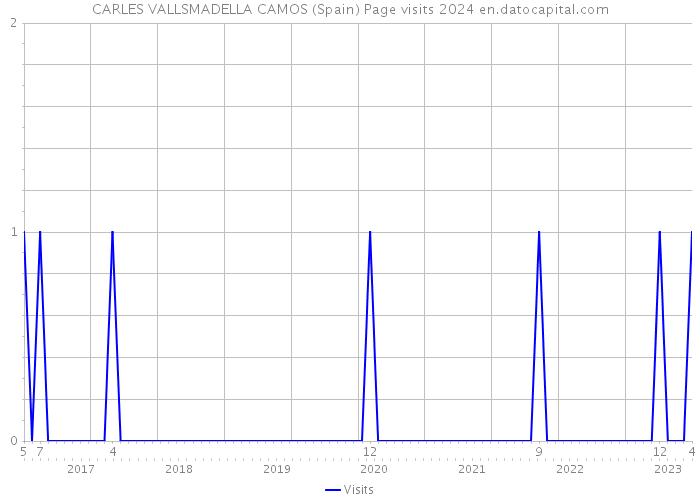CARLES VALLSMADELLA CAMOS (Spain) Page visits 2024 