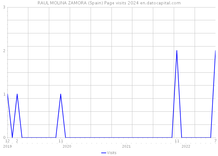 RAUL MOLINA ZAMORA (Spain) Page visits 2024 