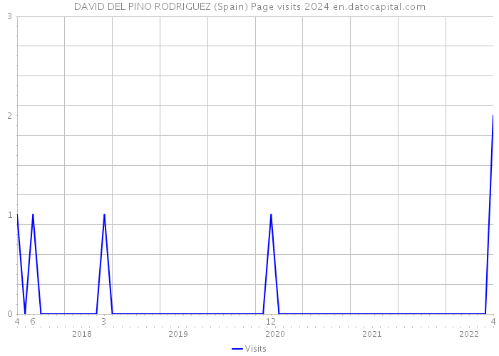 DAVID DEL PINO RODRIGUEZ (Spain) Page visits 2024 
