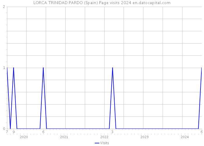 LORCA TRINIDAD PARDO (Spain) Page visits 2024 
