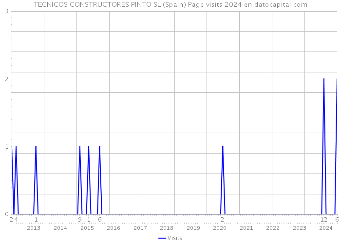 TECNICOS CONSTRUCTORES PINTO SL (Spain) Page visits 2024 