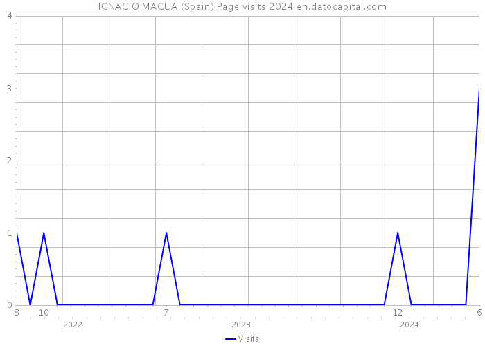 IGNACIO MACUA (Spain) Page visits 2024 