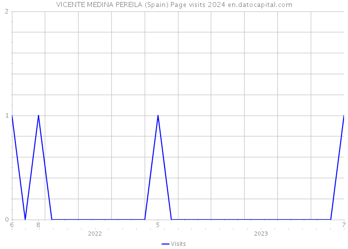 VICENTE MEDINA PEREILA (Spain) Page visits 2024 