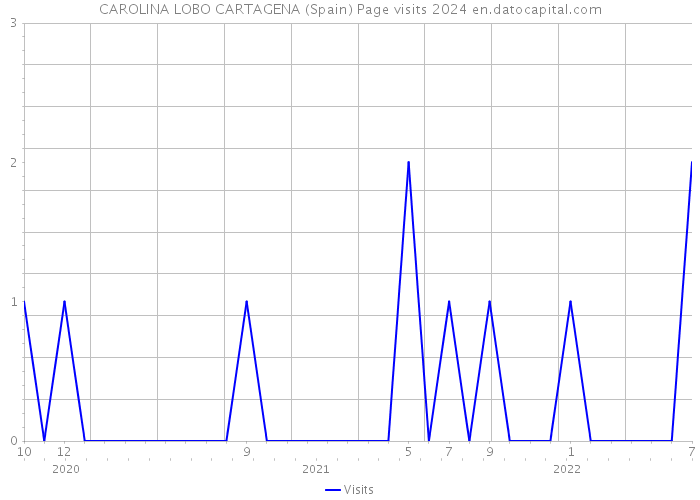 CAROLINA LOBO CARTAGENA (Spain) Page visits 2024 