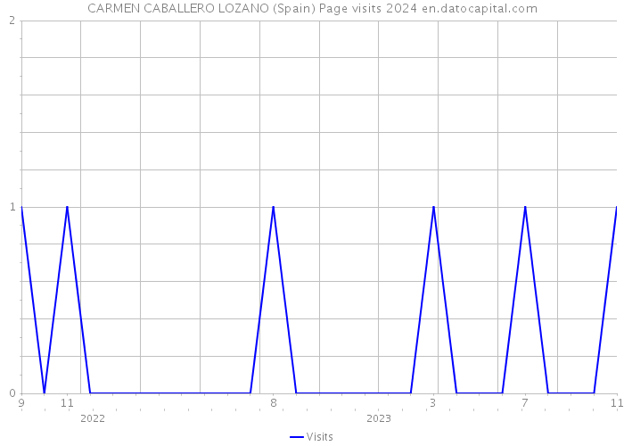 CARMEN CABALLERO LOZANO (Spain) Page visits 2024 