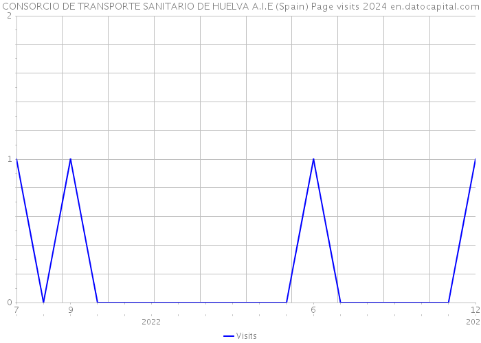 CONSORCIO DE TRANSPORTE SANITARIO DE HUELVA A.I.E (Spain) Page visits 2024 