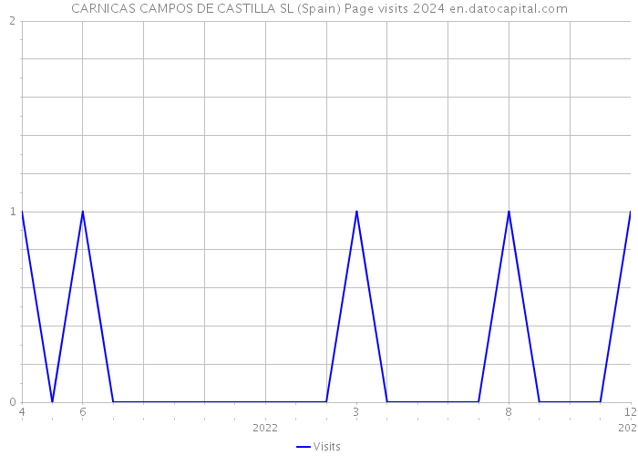 CARNICAS CAMPOS DE CASTILLA SL (Spain) Page visits 2024 