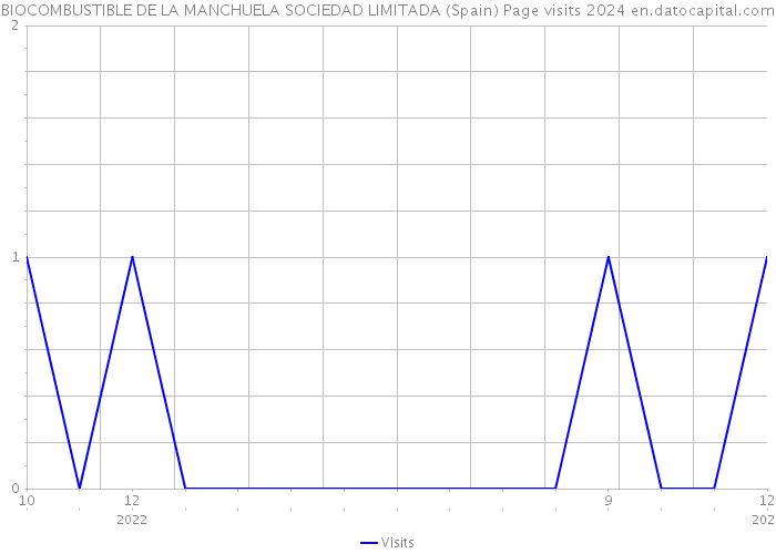 BIOCOMBUSTIBLE DE LA MANCHUELA SOCIEDAD LIMITADA (Spain) Page visits 2024 