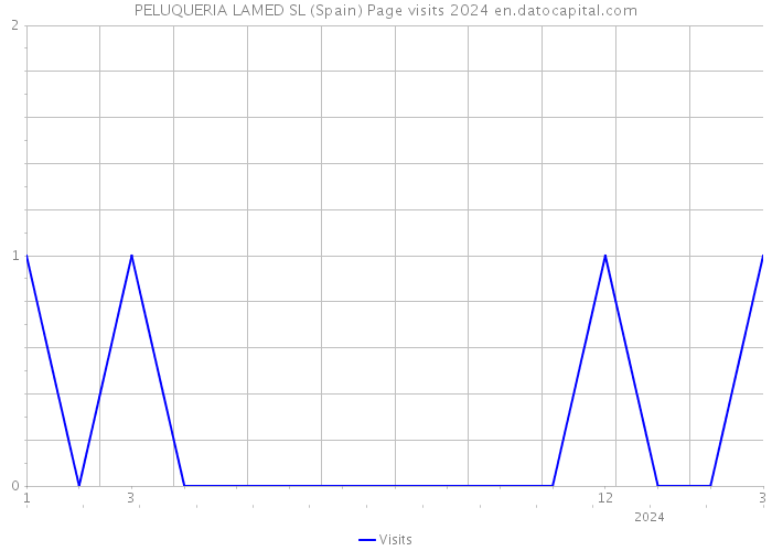 PELUQUERIA LAMED SL (Spain) Page visits 2024 