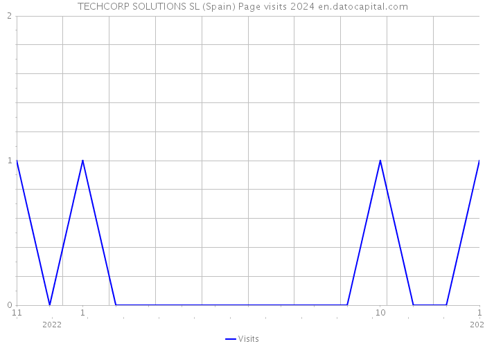 TECHCORP SOLUTIONS SL (Spain) Page visits 2024 