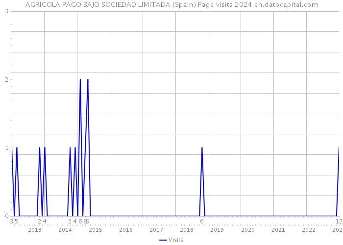 AGRICOLA PAGO BAJO SOCIEDAD LIMITADA (Spain) Page visits 2024 