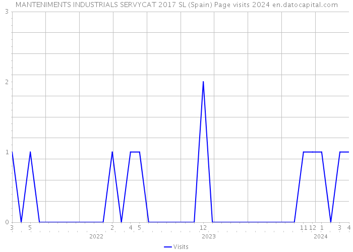 MANTENIMENTS INDUSTRIALS SERVYCAT 2017 SL (Spain) Page visits 2024 