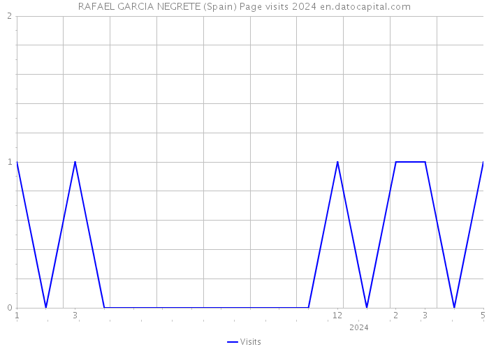 RAFAEL GARCIA NEGRETE (Spain) Page visits 2024 