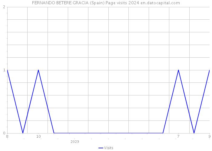 FERNANDO BETERE GRACIA (Spain) Page visits 2024 