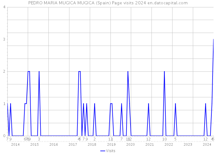 PEDRO MARIA MUGICA MUGICA (Spain) Page visits 2024 