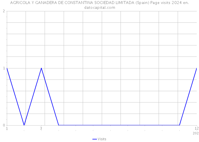 AGRICOLA Y GANADERA DE CONSTANTINA SOCIEDAD LIMITADA (Spain) Page visits 2024 