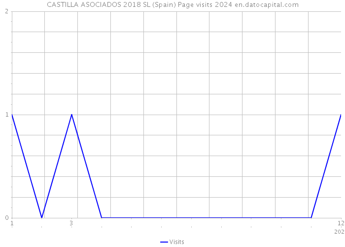 CASTILLA ASOCIADOS 2018 SL (Spain) Page visits 2024 