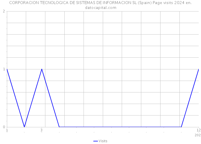 CORPORACION TECNOLOGICA DE SISTEMAS DE INFORMACION SL (Spain) Page visits 2024 