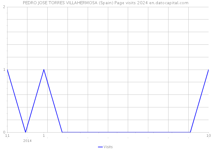 PEDRO JOSE TORRES VILLAHERMOSA (Spain) Page visits 2024 