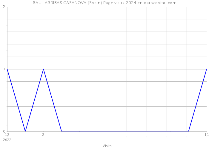 RAUL ARRIBAS CASANOVA (Spain) Page visits 2024 
