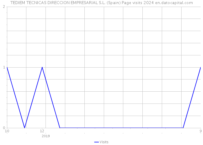TEDIEM TECNICAS DIRECCION EMPRESARIAL S.L. (Spain) Page visits 2024 