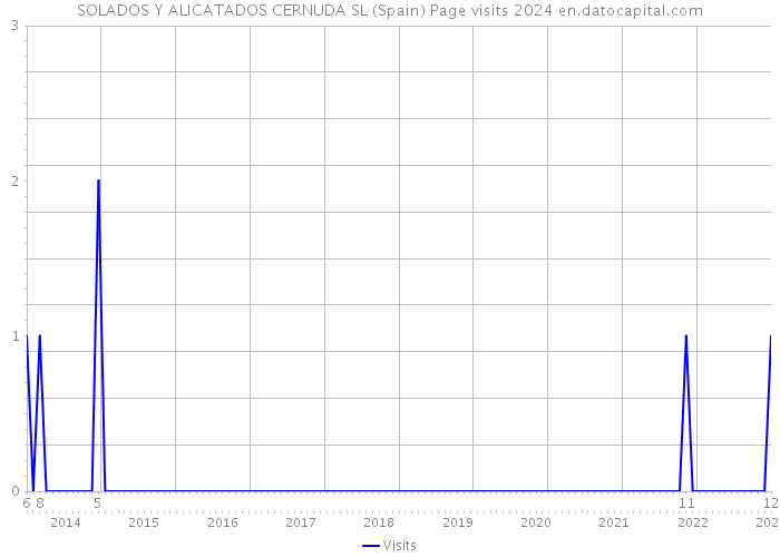 SOLADOS Y ALICATADOS CERNUDA SL (Spain) Page visits 2024 