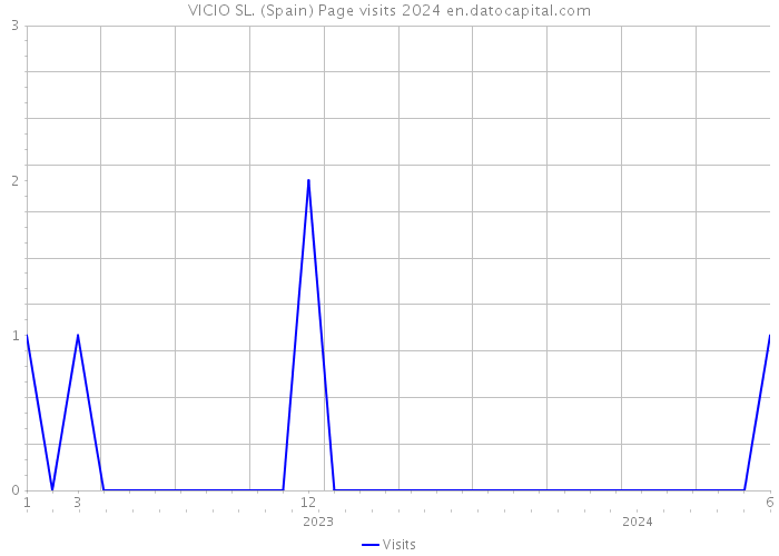 VICIO SL. (Spain) Page visits 2024 